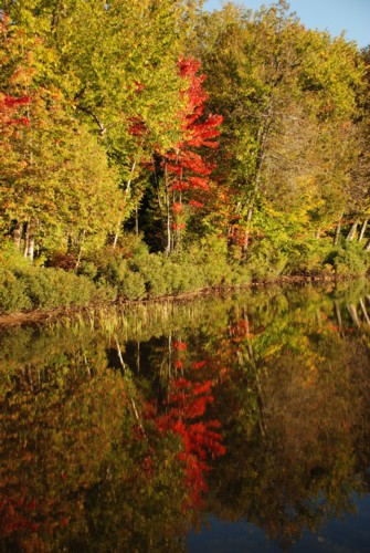 gallery_fall_reflections